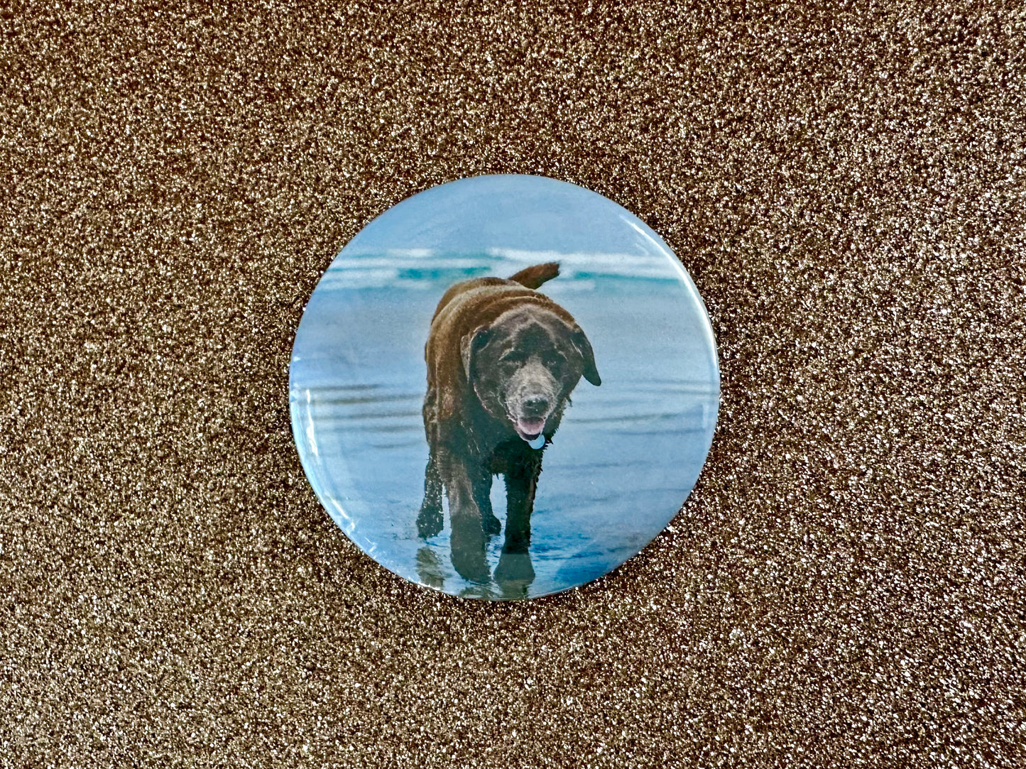 Photo Magnets
