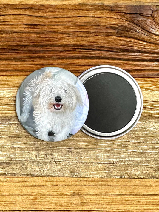 Photo Magnets